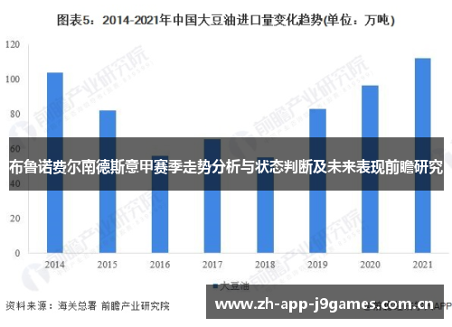 布鲁诺费尔南德斯意甲赛季走势分析与状态判断及未来表现前瞻研究